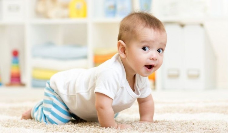 34592008 - crawling funny baby boy indoors at home