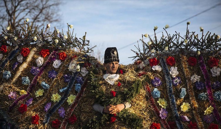 epaselect epa04590428 (16/22) A local man wearing a costume as bear, made of hay and reed parades during celebrations of the winter festival of Malanka in the village of Krasnoilsk, western Ukraine, 14 January 2015. 'Malanka'- or 'Old New Year Celebrations' is one of the most popular traditional festivals in Western Ukraine celebrated every year between the 13th and 14th of January, which is New Year's Eve in accordance with the old Julian calendar. During these two days of celebration, locals, young and old, wear traditional masks and carnival costumes and stroll from house to house singing carols, wishing households good luck, while at the same time playing pranks or performing short plays.  EPA/ROMAN PILIPEY PLEASE REFER TO THIS ADVISORY (epa04590412) NOTICE FOR FULL PACKAGE TEXT ** Usable by LA, CT and MoD ONLY **