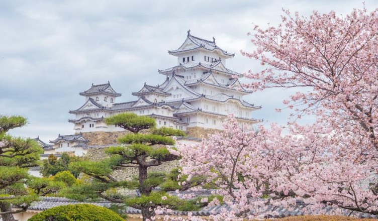 sakura-blossom-near-himeji-castle (1024x8192)