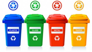 50-Plus-Report-The-Power-Of-The-Recycling-Bin-author-Samatha-Wilcoxson