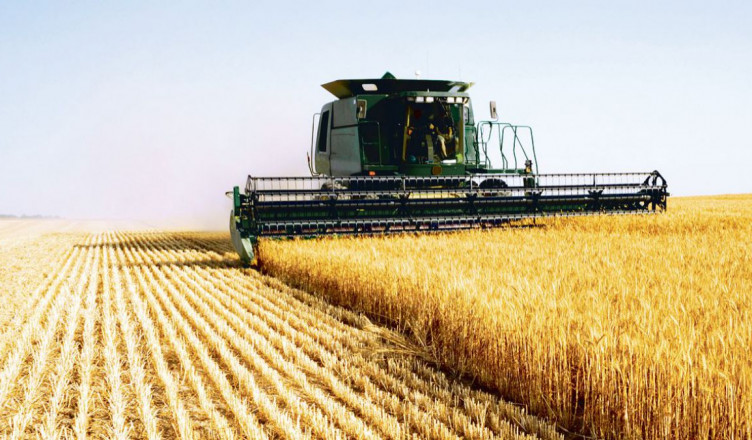 seceta-a-dus-la-reducerea-recoltei-de-cereale-cu-30-10771