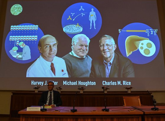 Nobel Committee member Patrik Ernfors sits in front of a screen displaying the winners of the 2020 Nobel Prize in Physiology or Medicine, (L-R) American Harvey Alter, Briton Michael Houghton and American Charles Rice, during a press conference at the Karolinska Institute in Stockholm, Sweden, on October 5, 2020. Americans Harvey Alter and Charles Rice as well as Briton Michael Houghton win the 2020 Nobel Medicine Prize for the discovery of Hepatitis C virus.,Image: 561533489, License: Rights-managed, Restrictions: , Model Release: no
