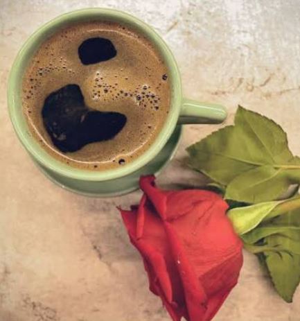 1 CAFEA