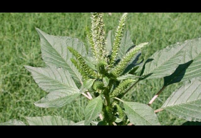 00 Acum Beneficii ŞTIRUL