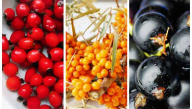 00 Acum 5 Pomuşoare care luptă