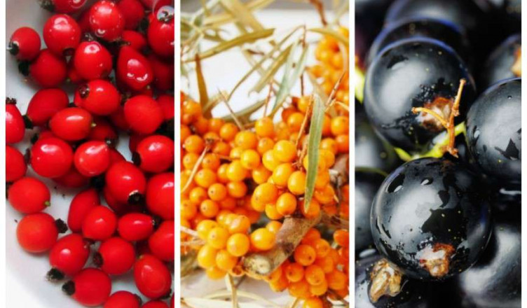 00 Acum 5 Pomuşoare care luptă