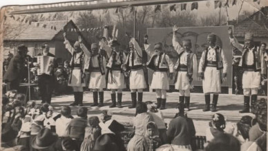 2_5386403818323870703