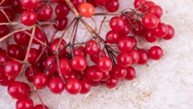 00 ACUM Frumuseţe cu călin