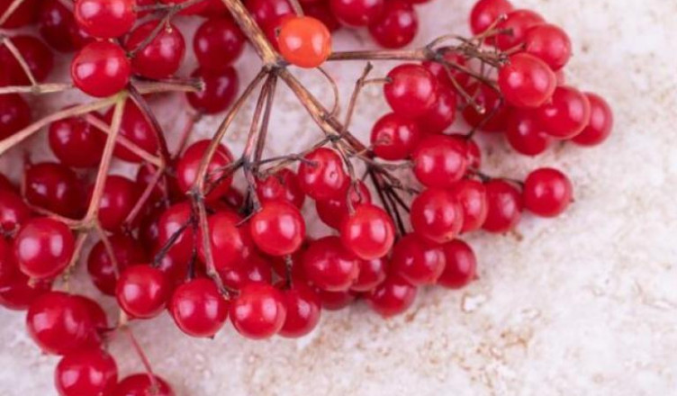 00 ACUM Frumuseţe cu călin