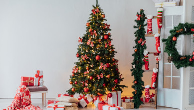 00 Acum 23 Bradul cu noroc