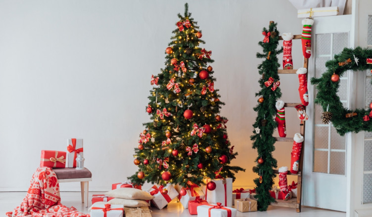 00 Acum 23 Bradul cu noroc