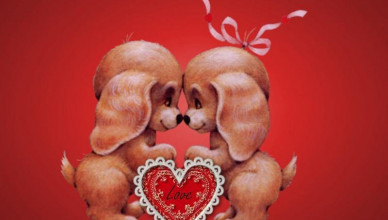 00 Acum 14.02 Curiozităţi