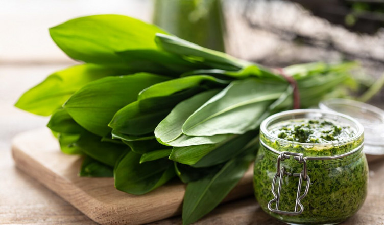 Fresh,Wild,Leek,Leaves,On,A,Wooden,Board.,Useful,Properties