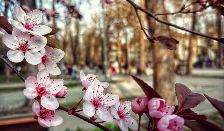 00 Acum 1 A Natura 2