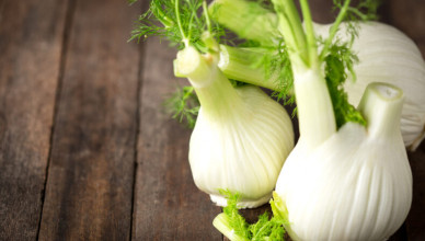 Fresh,Fennel,Bulb