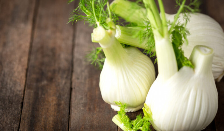 Fresh,Fennel,Bulb